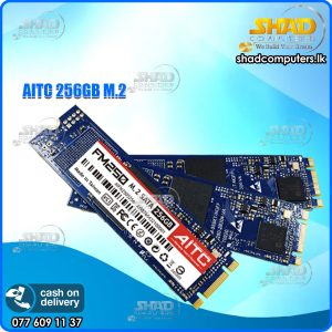 Aitc M.2 256GB (FM250)