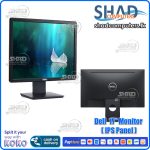 Dell  17“ Monitor ( IPS Panel )