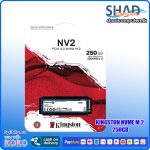 Kingston 250GB Nv2 M.2 Nvme