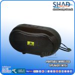 Portable Wireless Speaker (W15)