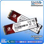 K-Ricard NVME 256GB
