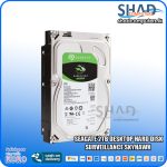 Seagate 2TB Desktop Hard Disk Surveillance Skyhawk