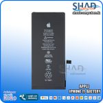 Apple IPhone 11 Battery
